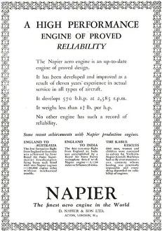 D.napier: Napier Lion