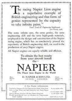 D.napier: Napier Lion Aero Engine