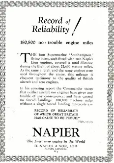 D.napier: Napier Lion Aero Engine