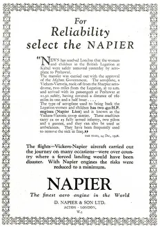 D.napier: Napier Lion Aero Engine