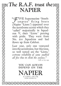 D.napier: Napier Lion Aero Engine
