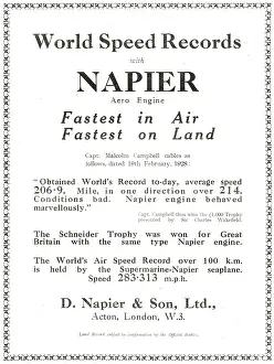 D.napier: Napier Lion Aero Engines