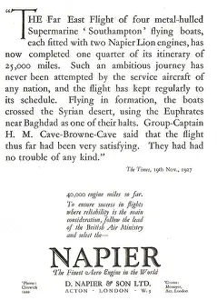 D.napier: Napier Lion Aero Engines