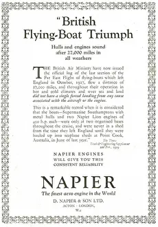 D.napier: Napier Lion Aero Engines