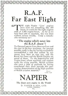 D.napier: Napier Lion Aero Engines