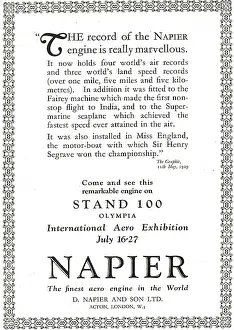 D.napier: See Napier Lion Aero Engines