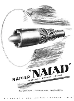 Naiad: Napier Naiad