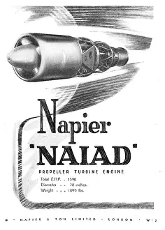 Naiad: Napier Naiad