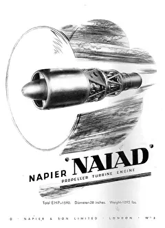 Naiad: Napier Naiad