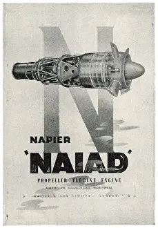 Naiad: Napier Naiad