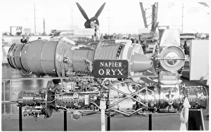 Olympus: Napier Oryx
