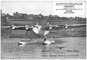 Rapier: Napier Rapier - Short-Mayo