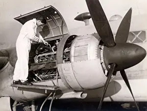 Napier: Napier Sabre installation on Vickers Warwick CIII, HG24
