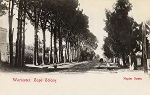Worcester: Napier Street, Worcester, Cape Colony, South Africa