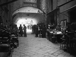 Flea: Naples, around 1920