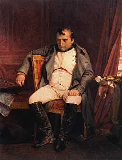Fontainebleau: Napoleon - Defeated