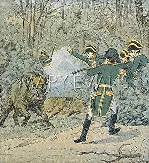 Berthier: NAPOLEON HUNTS BOAR
