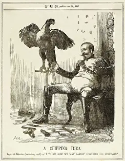 Sorry: NAPOLEON AND PEACE