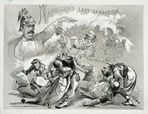 Sensation: Napoleon's last sensation