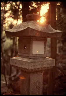 Lousada: Nara Kasuga-Ginja, Japan