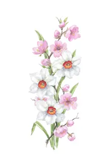 Almond: Narcissi and Almond Blossom