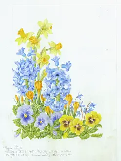 Hyacinths: Narcissus, blue Hyacinths, Scillas, orange Crocuses