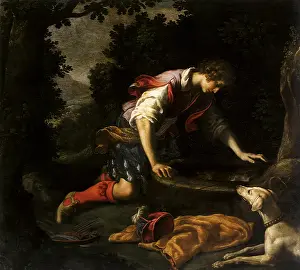 Narcissus: Narcissus at the Spring