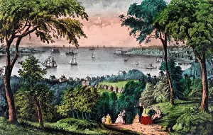 Narrows: The Narrows, New York Bay