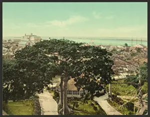 C1901: Nassau Harbor, Bahama Islands