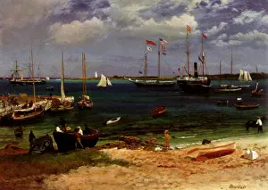 Nestled: Nassau Harbour