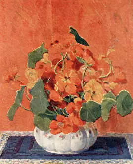 Hassell: Nasturiums