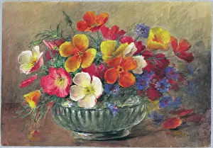 Cornflowers: Nasturtium and Cornflowers