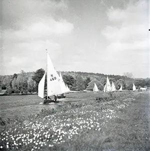 Sails: National 12 sailing dinghies on a Devon river