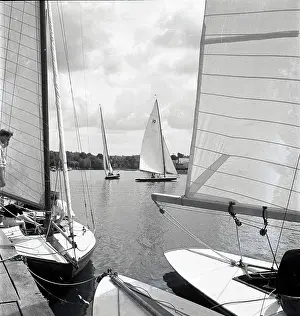Sails: National 12 sailing dinghies on a Devon river
