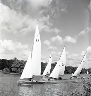Sails: National 12 sailing dinghies on a Devon river