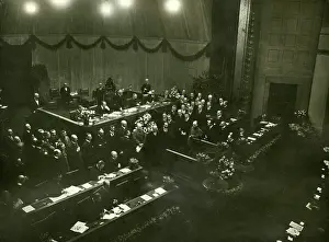 Constitution: National Assembly, 1919