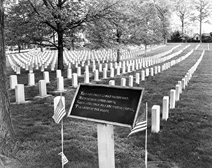 Gravesite: National Cemetery In Philadelphia