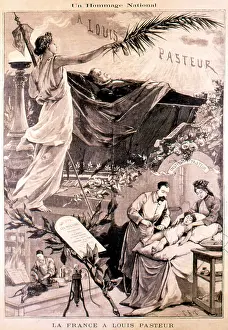 Prevention: National homage to Louis Pasteur, French scientist