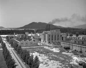 Tatras: Nationalized Bata factory renamed Svit