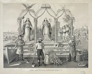 C1884: A nations pride, & a nations wealth
