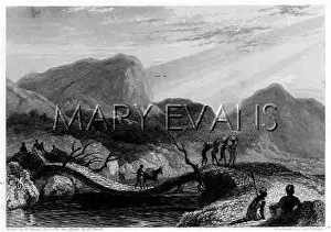 Mungo: NATIVE AFRICAN BRIDGE