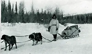 Sleigh: Native American Indian with dog sleigh