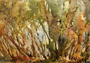 Sheppard: Native American Indians in a wood