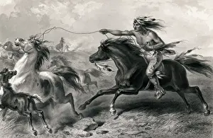 Pursuit: Native American lassoing wild horses
