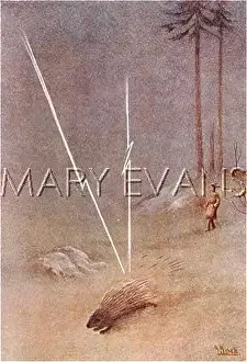 Venerated: NATIVE AMERICAN MYTH
