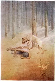 Totem: NATIVE AMERICAN MYTH/C20