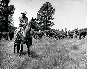 Reservation: Native Americans