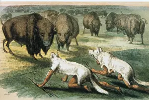 Skins: Native Americans camouflaged for Buffalo Hunt, by Catlin
