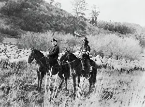 Reservation: Native Americans - livestock - New Mexico - Apache