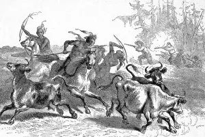 Rustling: Native Americans stealing cattle